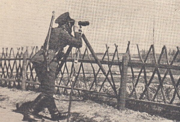 Что скрывает лес под Людвиково. Открываем тайны разделенной Беларуси | - «Интернет и связь»