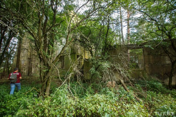 Что скрывает лес под Людвиково. Открываем тайны разделенной Беларуси | - «Интернет и связь»