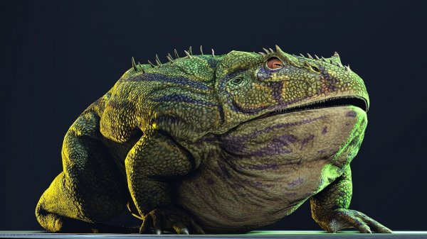 Древняя лягушка-гигант могла охотиться на динозавров | 42.TUT.BY - «Интернет и связь»