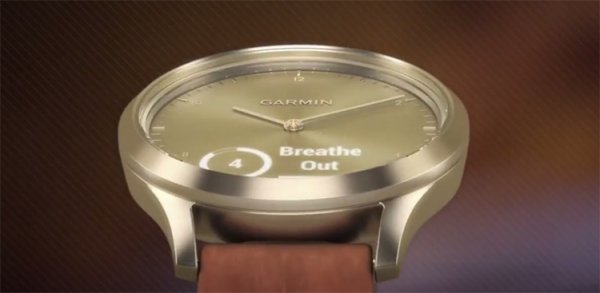 IFA 2017: гибридные смарт-часы Garmin vivomove HR с датчиком сердечного ритма - «Новости сети»