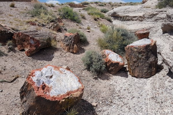 Красота по-американски. За что мы полюбили национальные парки США | - «Интернет и связь» Красота по-американски. За что мы полюбили национальные парки США | - «Интернет и связь»