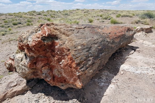 Красота по-американски. За что мы полюбили национальные парки США | - «Интернет и связь» Красота по-американски. За что мы полюбили национальные парки США | - «Интернет и связь»