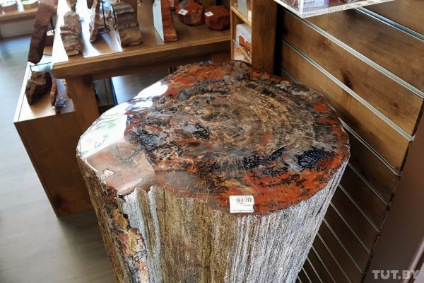 Красота по-американски. За что мы полюбили национальные парки США | - «Интернет и связь» Красота по-американски. За что мы полюбили национальные парки США | - «Интернет и связь»