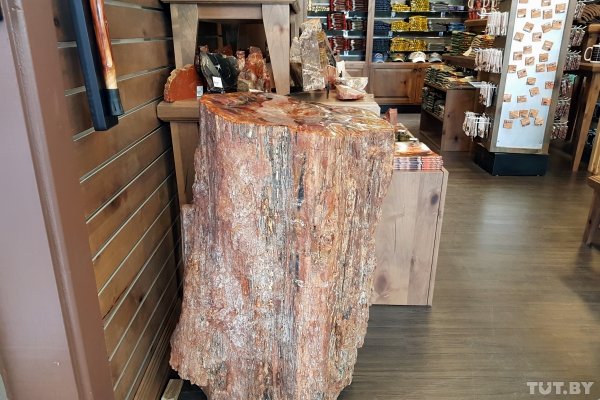 Красота по-американски. За что мы полюбили национальные парки США | - «Интернет и связь» Красота по-американски. За что мы полюбили национальные парки США | - «Интернет и связь»