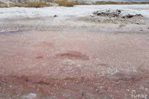 Красота по-американски. За что мы полюбили национальные парки США | - «Интернет и связь» Красота по-американски. За что мы полюбили национальные парки США | - «Интернет и связь»