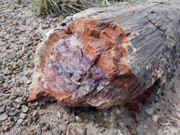 Красота по-американски. За что мы полюбили национальные парки США | - «Интернет и связь» Красота по-американски. За что мы полюбили национальные парки США | - «Интернет и связь»