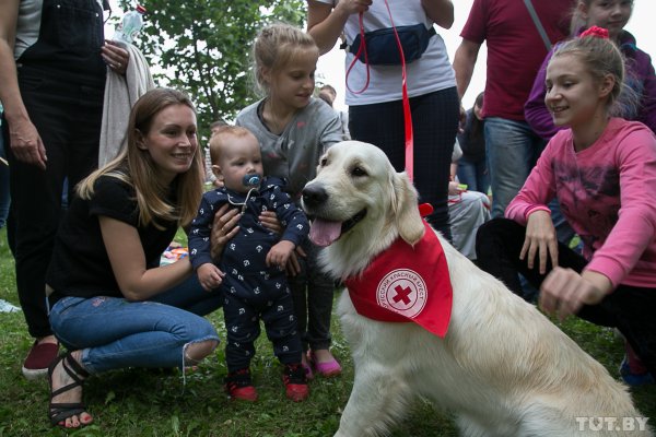 Мэр на броневике и редкая немецкая самоходка: как в Минске прошел "День танкиста" | - «Интернет и связь» Мэр на броневике и редкая немецкая самоходка: как в Минске прошел "День танкиста" | - «Интернет и связь»