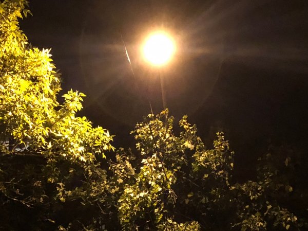 Обзор iPhone 8: мощный отвлекающий маневр Apple | - «Интернет и связь»