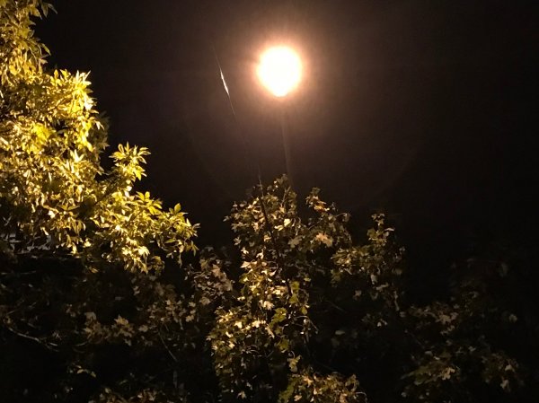 Обзор iPhone 8: мощный отвлекающий маневр Apple | - «Интернет и связь»