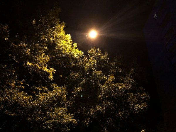 Обзор iPhone 8: мощный отвлекающий маневр Apple | - «Интернет и связь»