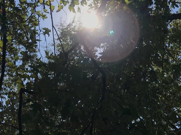 Обзор iPhone 8: мощный отвлекающий маневр Apple | - «Интернет и связь»