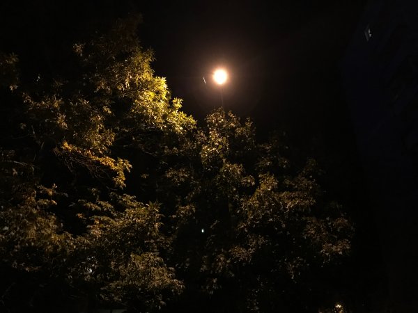 Обзор iPhone 8: мощный отвлекающий маневр Apple | - «Интернет и связь»