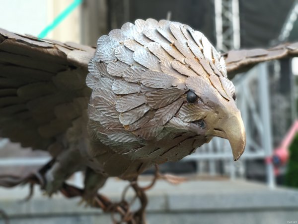 Претендент на звание нового "народного героя": обзор смартфона Xiaomi Mi A1 | - «Интернет и связь» Претендент на звание нового "народного героя": обзор смартфона Xiaomi Mi A1 | - «Интернет и связь»