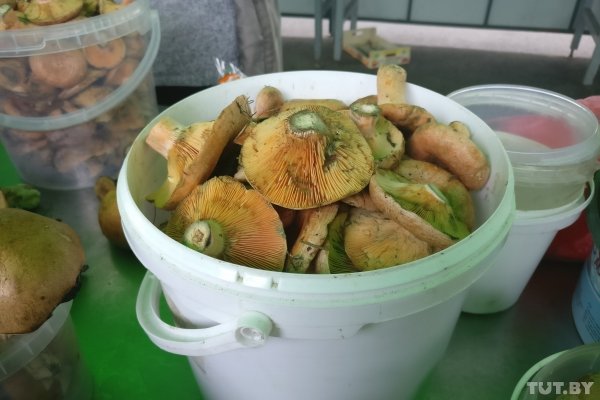 Съедобный или ядовитый? Распознаем грибы с помощью камеры смартфона | - «Интернет и связь» Съедобный или ядовитый? Распознаем грибы с помощью камеры смартфона | - «Интернет и связь»