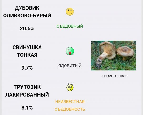 Съедобный или ядовитый? Распознаем грибы с помощью камеры смартфона | - «Интернет и связь» Съедобный или ядовитый? Распознаем грибы с помощью камеры смартфона | - «Интернет и связь»