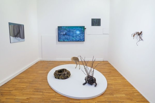 Телевизоры Samsung The Frame стали частью экспозиции 7-й Московской биеннале современного искусства - «Новости сети»