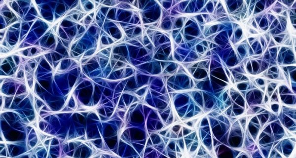 Ученые впервые смогли подключить человеческий мозг к Сети | 42.TUT.BY - «Интернет и связь»