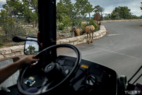 "Великолепная бездна". Что мы увидели на краю Гранд-Каньона | - «Интернет и связь»