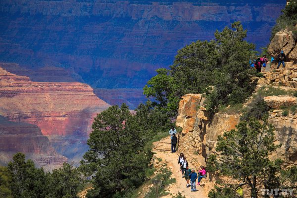 "Великолепная бездна". Что мы увидели на краю Гранд-Каньона | - «Интернет и связь»