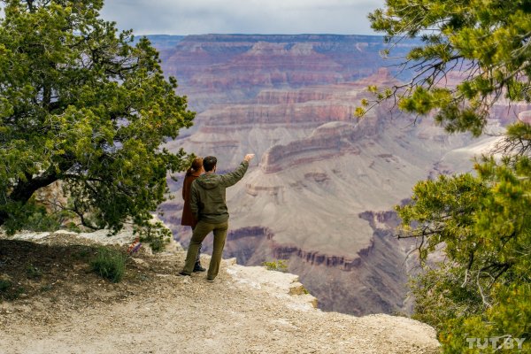 "Великолепная бездна". Что мы увидели на краю Гранд-Каньона | - «Интернет и связь»