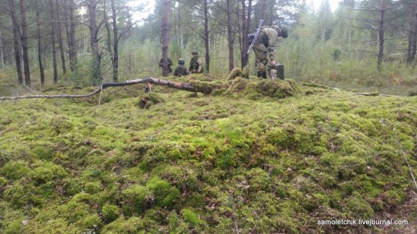 "Запад-2017": как маскируют БМП-2 в лесу под Борисовом | - «Интернет и связь» "Запад-2017": как маскируют БМП-2 в лесу под Борисовом | - «Интернет и связь»
