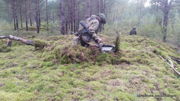 "Запад-2017": как маскируют БМП-2 в лесу под Борисовом | - «Интернет и связь» "Запад-2017": как маскируют БМП-2 в лесу под Борисовом | - «Интернет и связь»