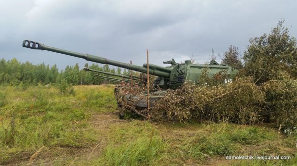 "Запад-2017": как маскируют БМП-2 в лесу под Борисовом | - «Интернет и связь» "Запад-2017": как маскируют БМП-2 в лесу под Борисовом | - «Интернет и связь»