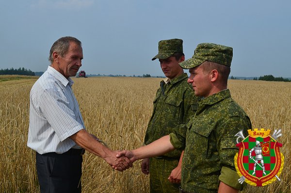 Что мы знаем о Печах, где погиб солдат Александр Коржич | - «Интернет и связь» Что мы знаем о Печах, где погиб солдат Александр Коржич | - «Интернет и связь»