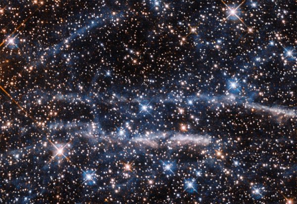 Фото дня: Тарантул и космические пузыри - «Новости сети»