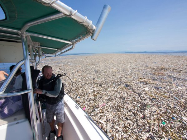 Фотофакт. Дайверы наткнулись в море на "мусорный остров" | 42.TUT.BY - «Интернет и связь»