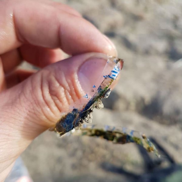 Фотофакт. Рыба "вросла" в этикетку бутылки | - «Интернет и связь»