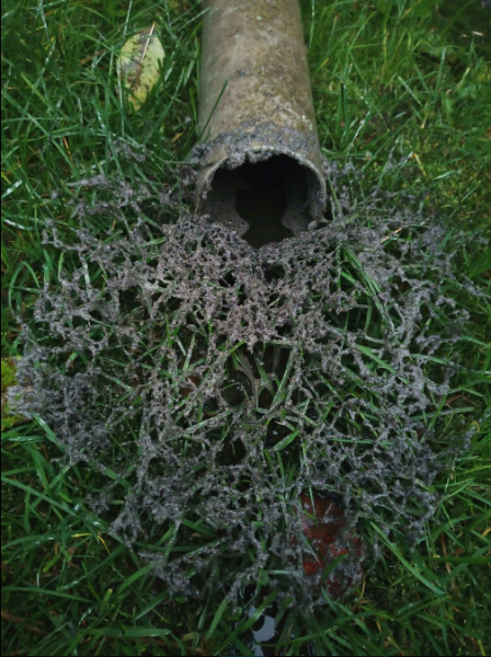 Фотофакт. В Эстонии прошел черный дождь | - «Интернет и связь»