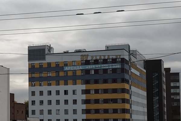 Качество чьих снимков вам понравилось больше? - ОПРОСЫ | - «Интернет и связь» Качество чьих снимков вам понравилось больше? - ОПРОСЫ | - «Интернет и связь»