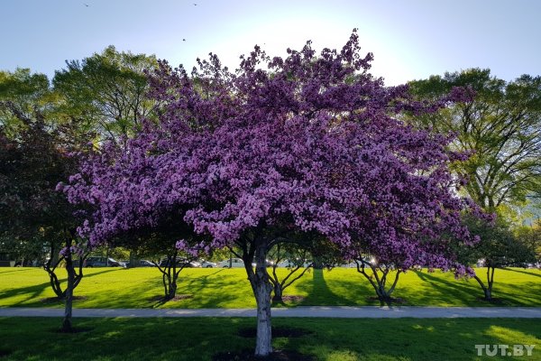 Как Samsung Galaxy S8 помог нам во время 8500-километрового путешествия по США | - «Интернет и связь»