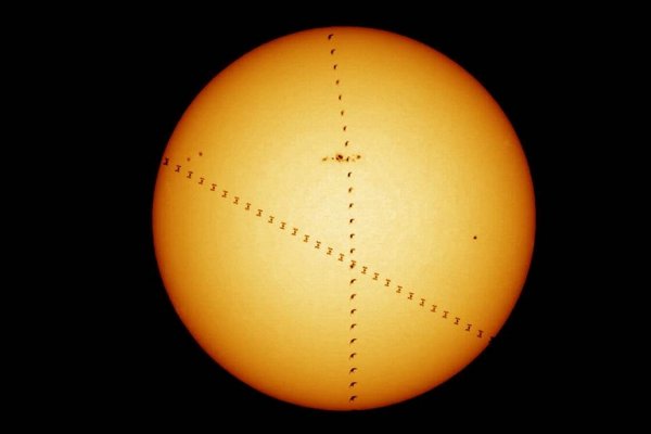 Картинка дня: МКС и птица на фоне Солнца  - «Интернет и связь»