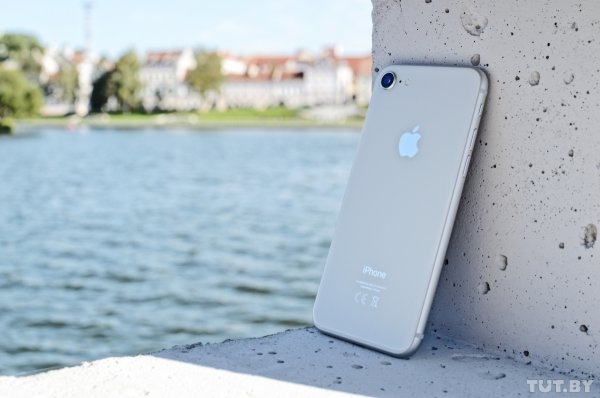 Новейшие iPhone 8 уже подешевели в Беларуси  - «Интернет и связь»