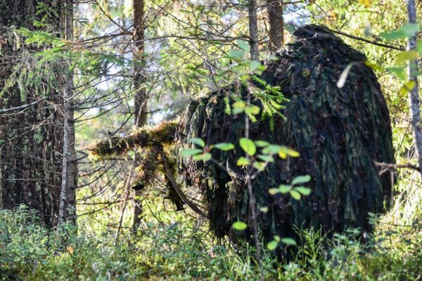 Опасные "лешие": как маскируются снайперы из Беларуси и России | - «Интернет и связь» Опасные "лешие": как маскируются снайперы из Беларуси и России | - «Интернет и связь»