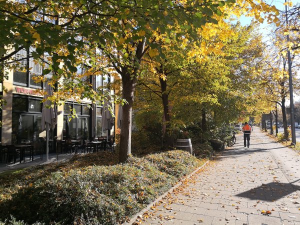 Пока лучший смартфон Huawei: обзор Mate 10 Pro | - «Интернет и связь»