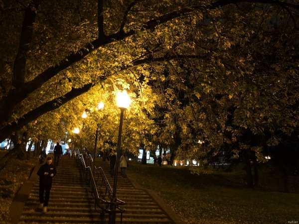 Пока лучший смартфон Huawei: обзор Mate 10 Pro | - «Интернет и связь»