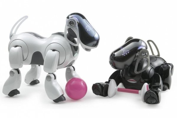 Sony готовит к выпуску обновлённого робота-собаку AIBO с поддержкой ИИ - «Новости сети»