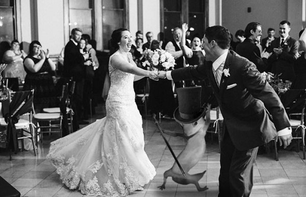 "Танцующий" геккон стал героем фотожаб | - «Интернет и связь»