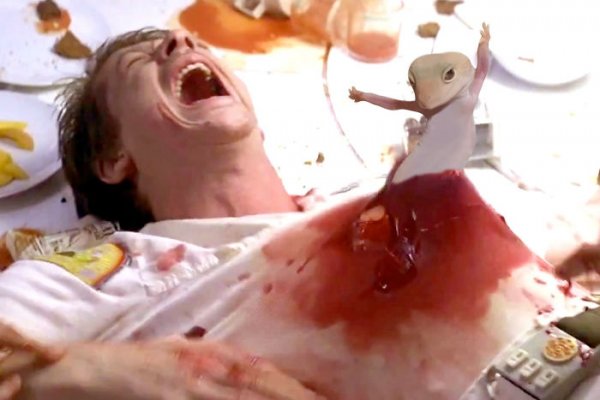 "Танцующий" геккон стал героем фотожаб | - «Интернет и связь»