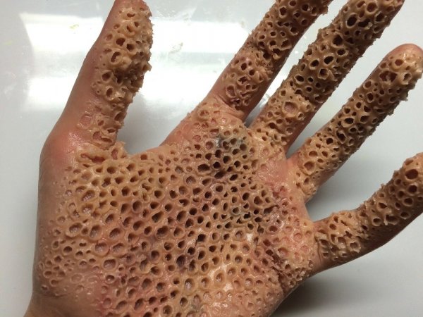 Вы почувствовали дискомфорт при просмотре этих фотографий? - ОПРОСЫ | - «Интернет и связь» Вы почувствовали дискомфорт при просмотре этих фотографий? - ОПРОСЫ | - «Интернет и связь»