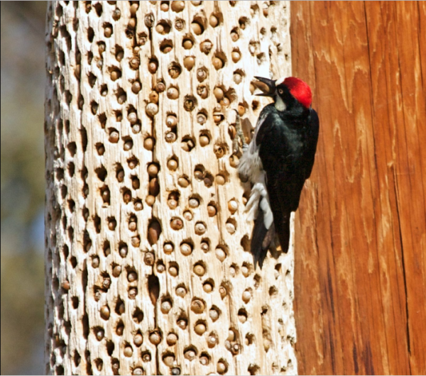 Вы почувствовали дискомфорт при просмотре этих фотографий? - ОПРОСЫ | - «Интернет и связь» Вы почувствовали дискомфорт при просмотре этих фотографий? - ОПРОСЫ | - «Интернет и связь»