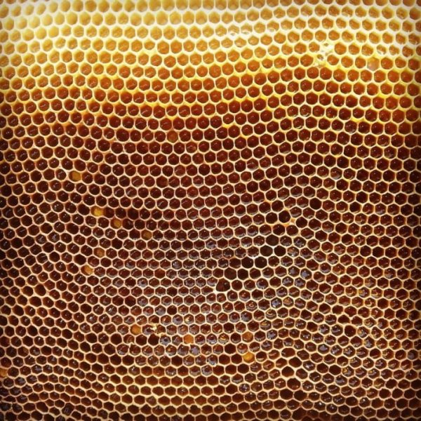 Вы почувствовали дискомфорт при просмотре этих фотографий? - ОПРОСЫ | - «Интернет и связь» Вы почувствовали дискомфорт при просмотре этих фотографий? - ОПРОСЫ | - «Интернет и связь»