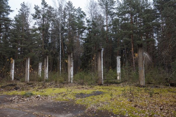 Наследие ядерной эпохи: некогда секретный объект в лесах под Барановичами | - «Интернет и связь»