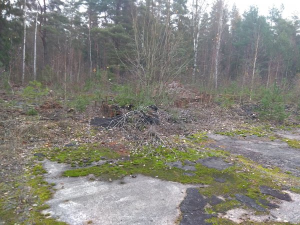 Наследие ядерной эпохи: некогда секретный объект в лесах под Барановичами | - «Интернет и связь»