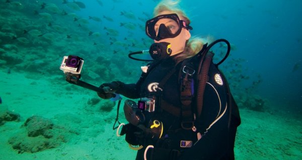 Разработчик экшен-камер GoPro вернулся к прибыли - «Новости сети»