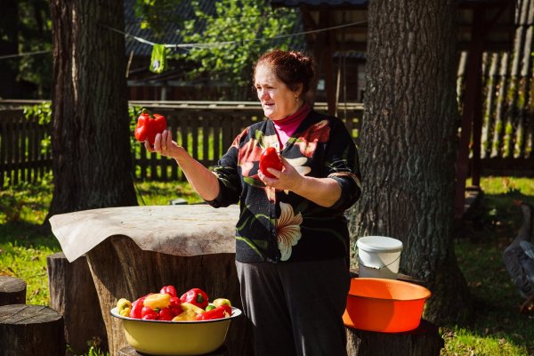 "Сел на велосипед – и ты в Польше". Как живет самая заповедная деревня Беларуси | - «Интернет и связь»