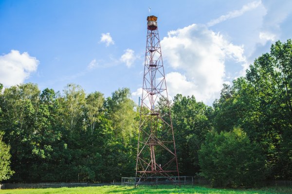 "Сел на велосипед – и ты в Польше". Как живет самая заповедная деревня Беларуси | - «Интернет и связь»